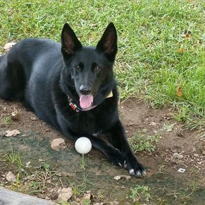 Meet your Posher, Terry